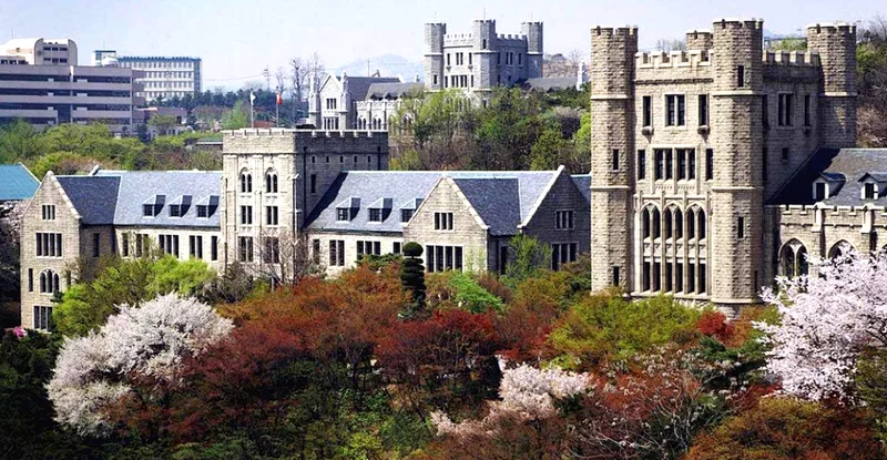 高丽大学 Korea University
